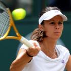 Pironkova repete 2010 e volta a derrotar Venus 