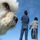 _13_animais_que_estao_planejando_dominar_o_mundo