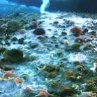 equipe_da_discovery_flagra_o_dedo_da_morte_em_video