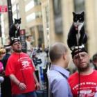homem_e_flagrado_andando_com_gato_em_cima_da_cabeca_nos_eua_