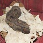 Dedo gigante mumificado é encontrado no Egito