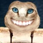 animais_photoshopados