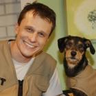 dr_pet_cuidado_com_&ldquo;presente_animal&rdquo;
