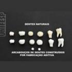 cientistas_brasileiros_avancam_em_pesquisas_e_fazem_copia_fiel_do_dente_humano