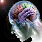a_internet_pode_afetar_o_cerebro_como_alcool_e_cocaina_
