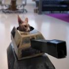 cuidado_com_os_tanques_de_guerra_com_gatos_no_comando
