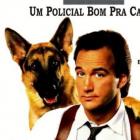 relembre_k9_um_policial_bom_pra_cachorro_nao_perca