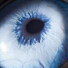 olhos_animais