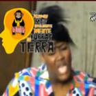 as_pessoas_mais_inteligentemente_burras_da_terra_6