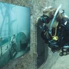 Galeria de Arte subaquática.