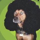 legalize_ja_ou_nao