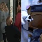quando_os_animais_imitam_os_humanos