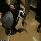 pet_wars