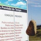 a_previsao_do_tempo_que_nunca_falha