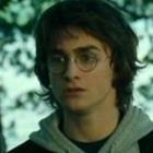 hermione_a_culpa_e_toda_sua