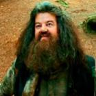 Hagrid é preso em protesto