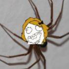 a_dona_aranha_subiu_pela_parede