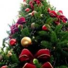 uma_opiniao_sobre_arvores_de_natal