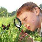 top_10_curiosidades_que_voce_nao_sabia_3