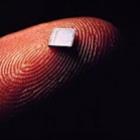 microchip_sera_obrigatorio_a_partir_de_marco_de_2013