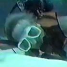 Mergulhador americano procurará corpo de Bin Laden Bill