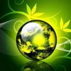 a_sustentabilidade_da_falacia_das_sacolas_plasticas