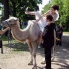 os_5_piores_carros_para_o_seu_casamento
