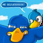 followback_nao_se_pede