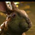 otimo_curta_de_terror_mutant_land