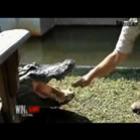 nunca_bote_a_mao_na_boca_de_um_crocodilo