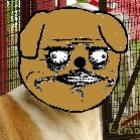 querendo_sexo_animal