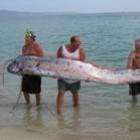 oarfish_gigante_a_impressionante_serpente_do_mar_de_yore