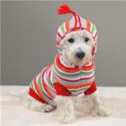 animais_sao_tratados_como_clientes_vips_nas_clinicas_e_pet_shops