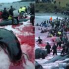 Matança de baleias justificada por uma tradição cultural