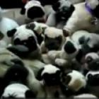 primeiro_mindfuck_em_video_voce_descobre