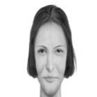 site_usa_software_da_policia_para_criar_retratos_de_personagens_de_livros_