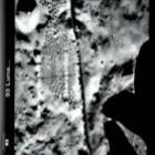 edificios_e_estruturas_na_lua_em_fotos_da_nasa__videos_