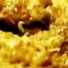 Rede de fast food vende lanche com larvas