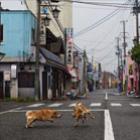 japao_o_vazio_nuclear