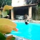 fail_no_estilo_mega_comboolha_o_que_ele_fez