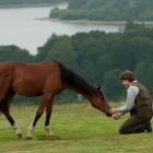 a_sentimental_amizade_de_um_homem_e_um_cavalo_no_novo_drama_de_spielberg