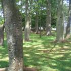 parque_villa_lobos