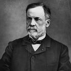 Frase sobre possível e impossível de Louis Pasteur 
