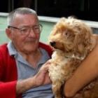 Cães terapeutas visitam idosos carentes em Duque de Caxias (RJ)