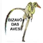 Encontrado Dinossauro Brasileiro Ancestral das Aves.