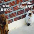 perai_nao_ta_errado_isso