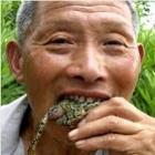 chines_morre_com_enguia_no_reto