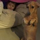 animais_e_criancas_uma_combinacao_perfeita