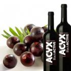 energia_saude_e_muita_disposicao_com__acyx