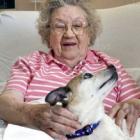 confira_5_beneficios_que_os_pets_trazem_a_saude